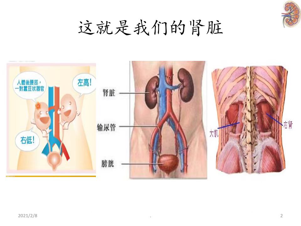 肝肾综合保健